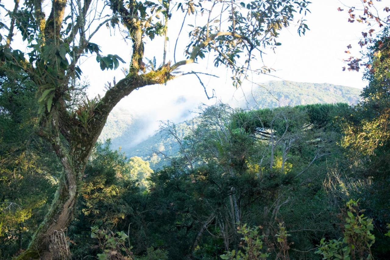 Pousada Estrela Da Serra Monteverde Extérieur photo